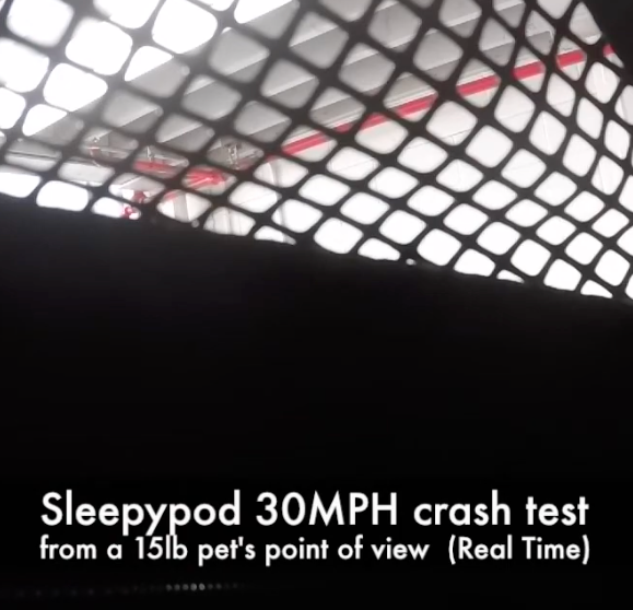 : Thinking of keeping the pet carrier open for your cat or dog when riding in a car? Think again.