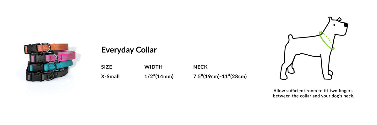 Everyday Collar