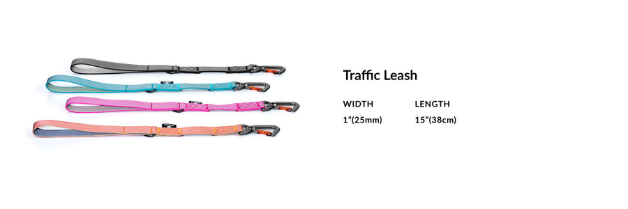 Traffic Leash