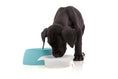 Load image into Gallery viewer, Yummy Travel Bowls