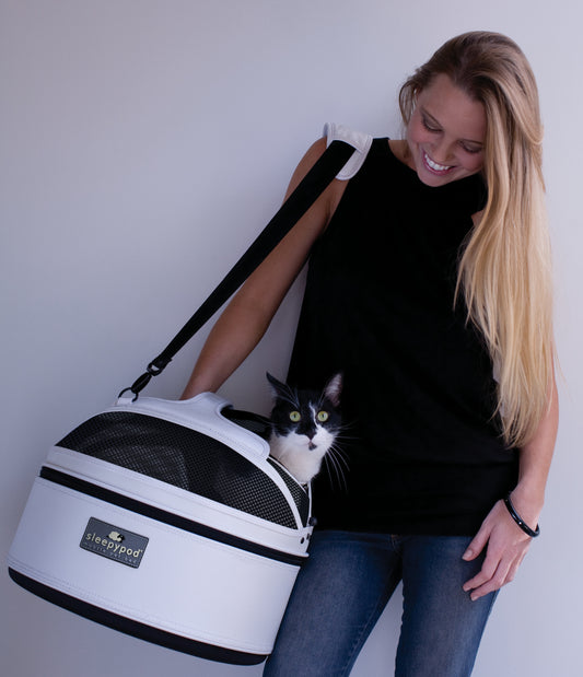 How to Choose a Pet Carrier