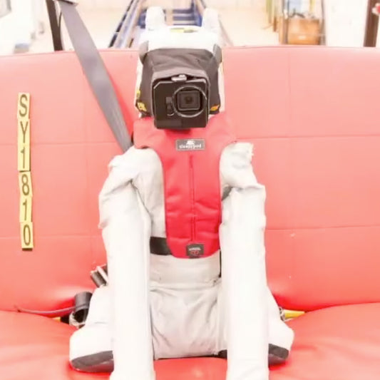 crash test dummy dog by Sleepypod