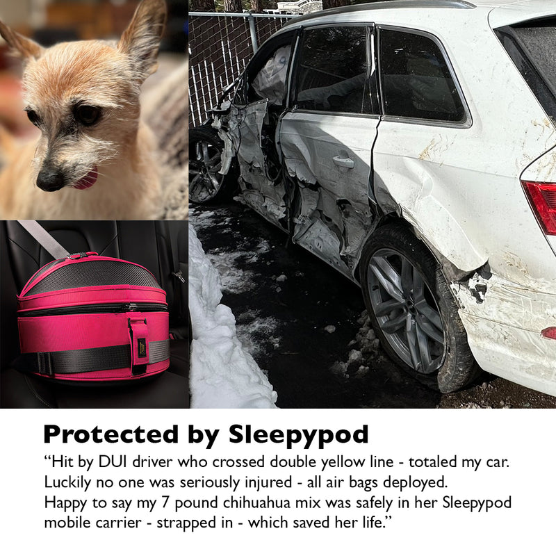 Sleepypod Accident Survivor