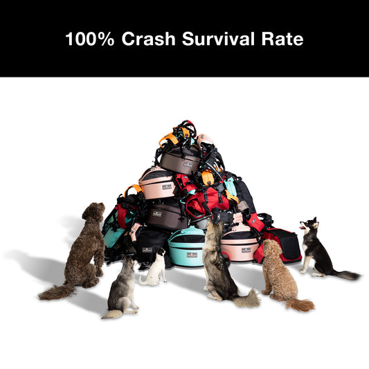 100 Percent Car Crash Survival Rate in 16 Years of Customer-Reported Data Collected by Sleepypod