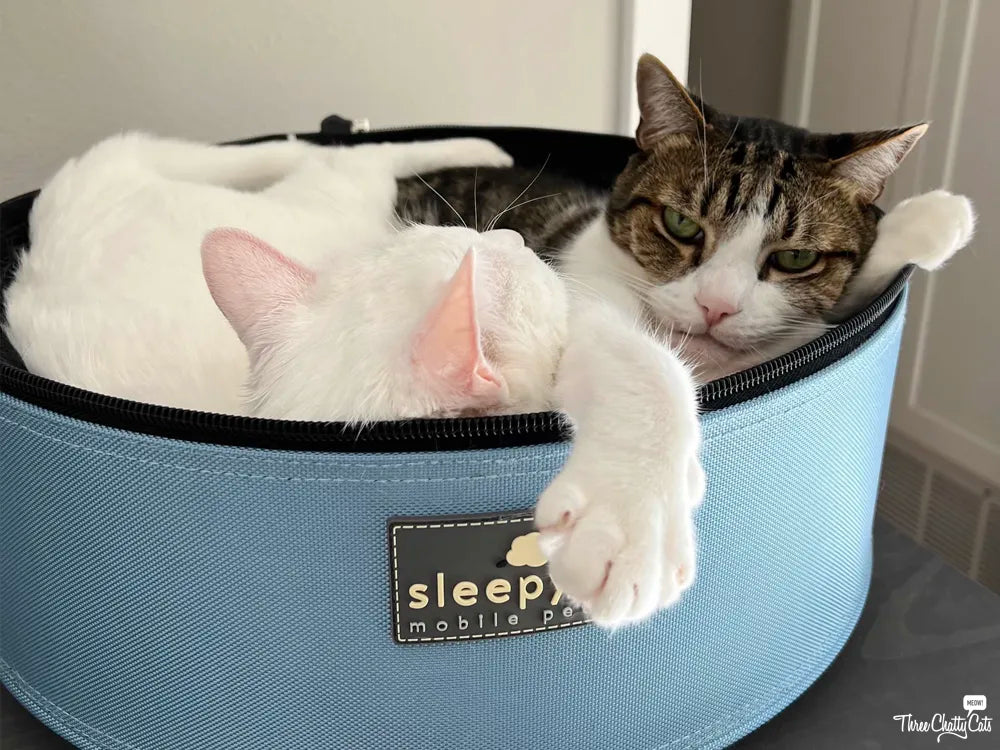 Tips for Acclimating Your Cat to a Carrier + a Giveaway