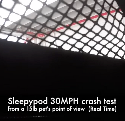 : Thinking of keeping the pet carrier open for your cat or dog when riding in a car? Think again. 