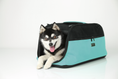 Load image into Gallery viewer, Sleepypod Air
