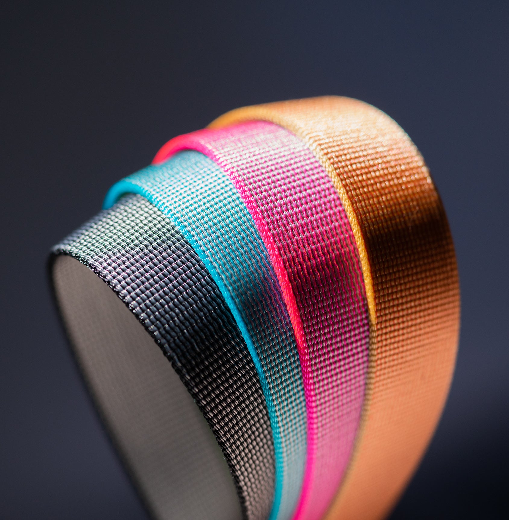 Everyday Collar