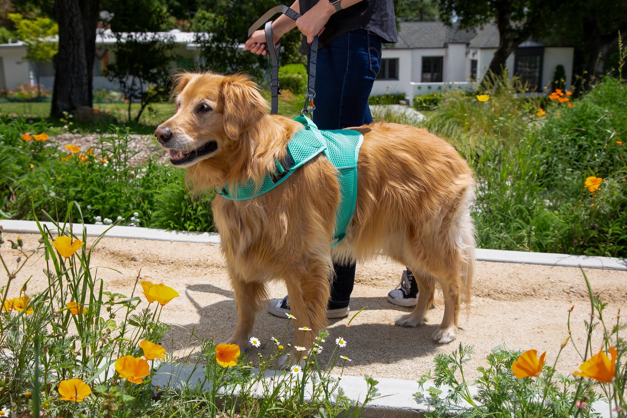 (robin egg blue mesh)