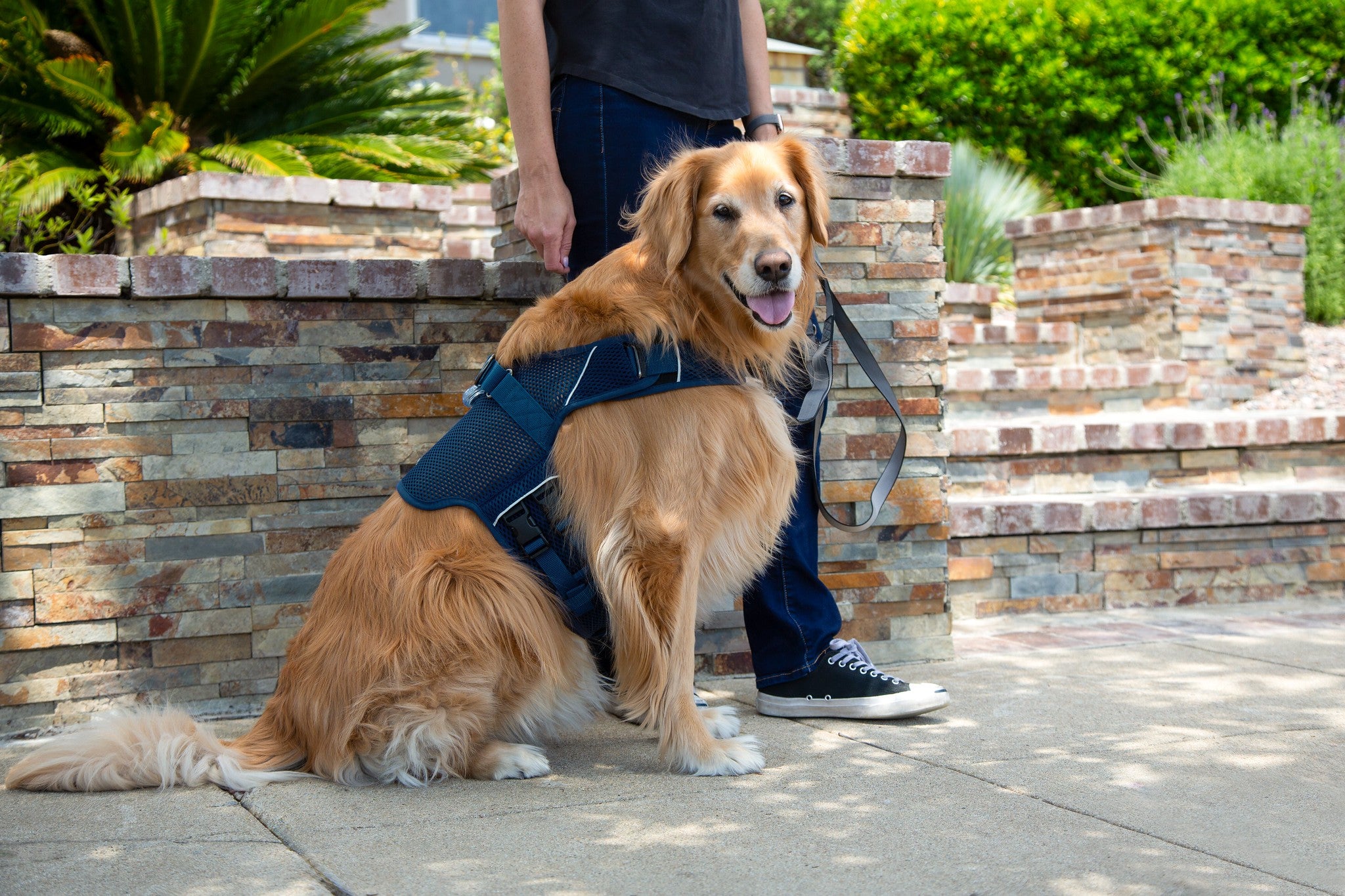 (midnight blue mesh)