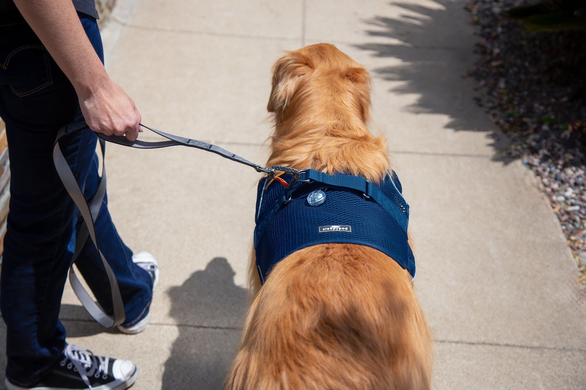 (midnight blue mesh)