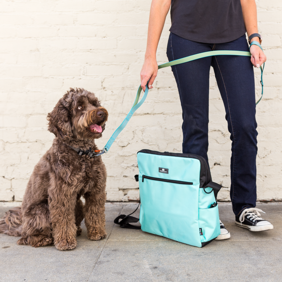Go Bag