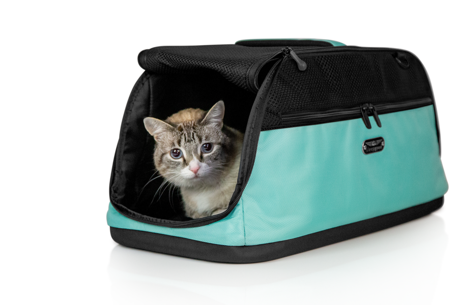Sleepypod Air