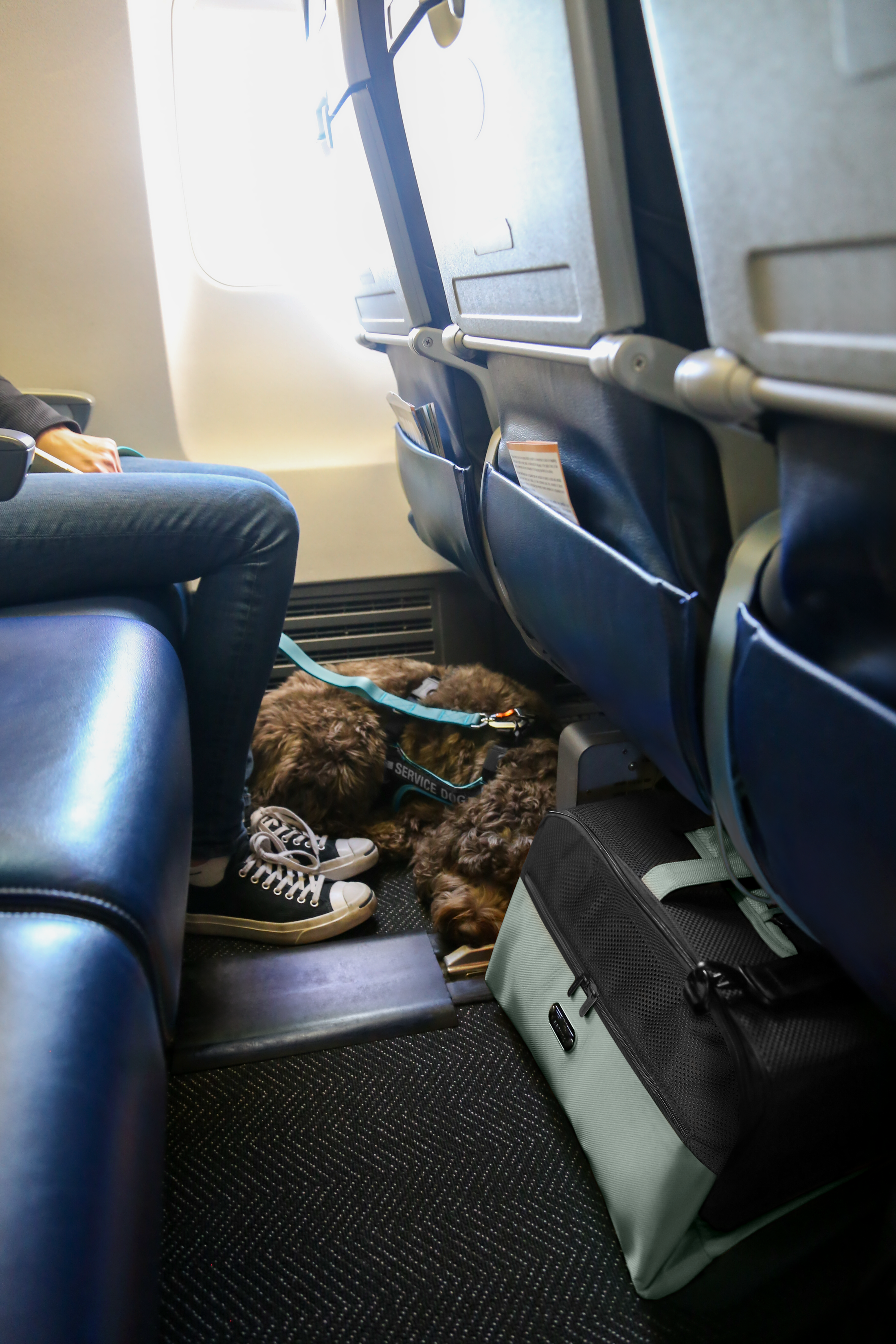 Sleepypod Air