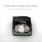 Sleepypod Air PEMF Therapy System (Up to 18lbs.)