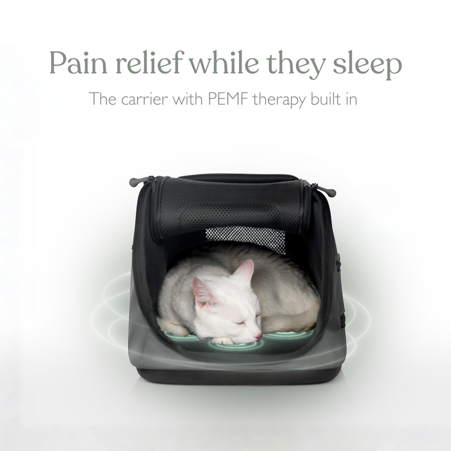 Sleepypod Air PEMF Therapy System (Up to 18lbs.)