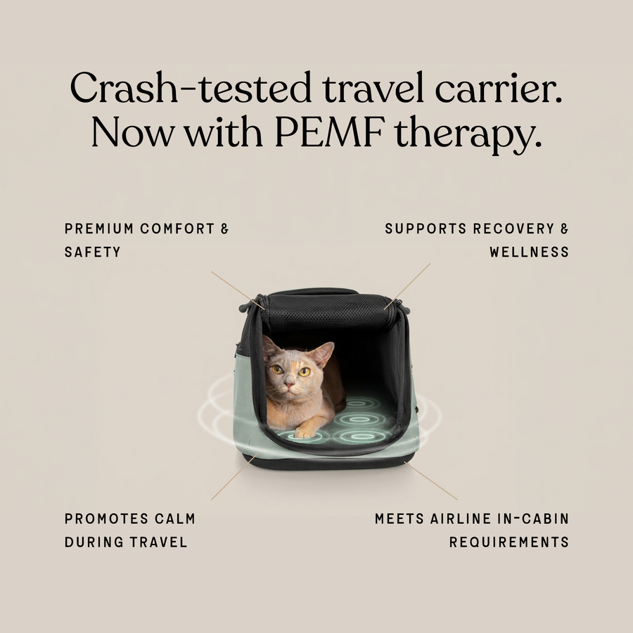 Sleepypod Air PEMF Therapy System (Up to 18lbs.)