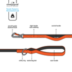 Power Leash