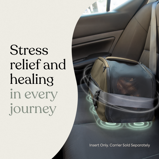Sleepypod Air PEMF Therapy Insert