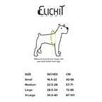 Clickit Sport Plus