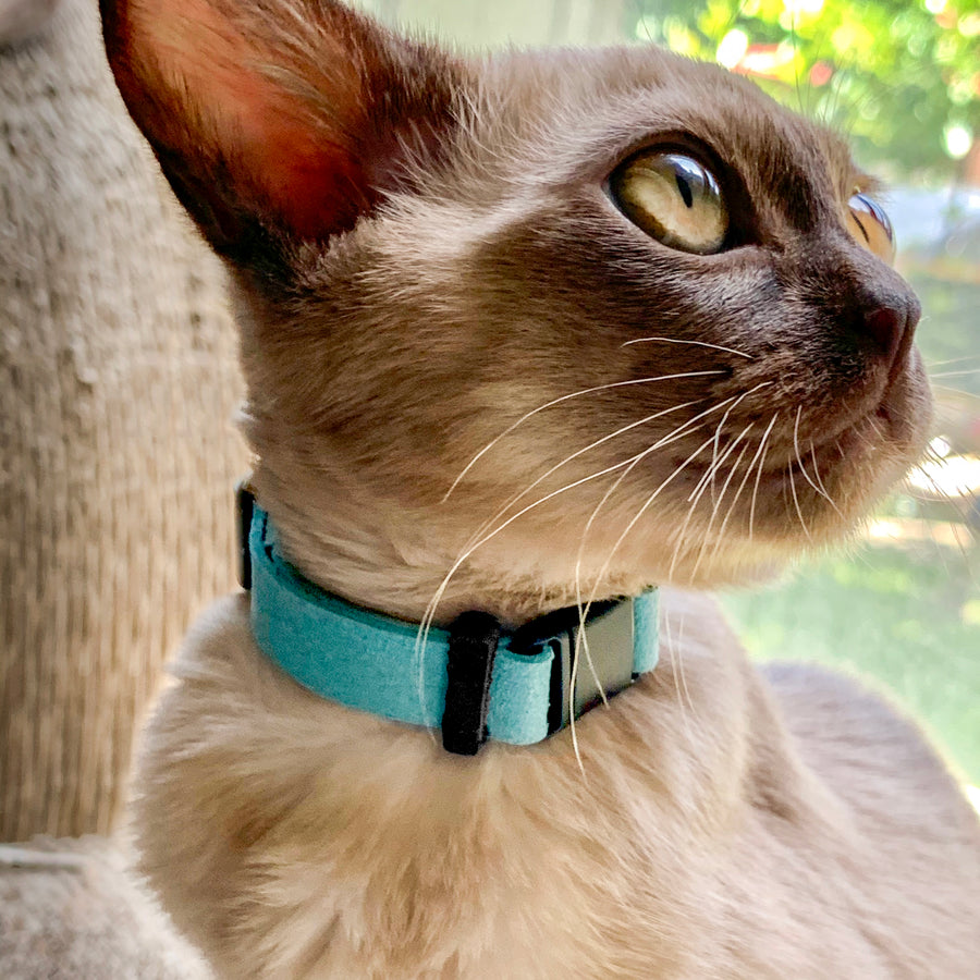 Comfort Suede Breakaway Collar for Cats