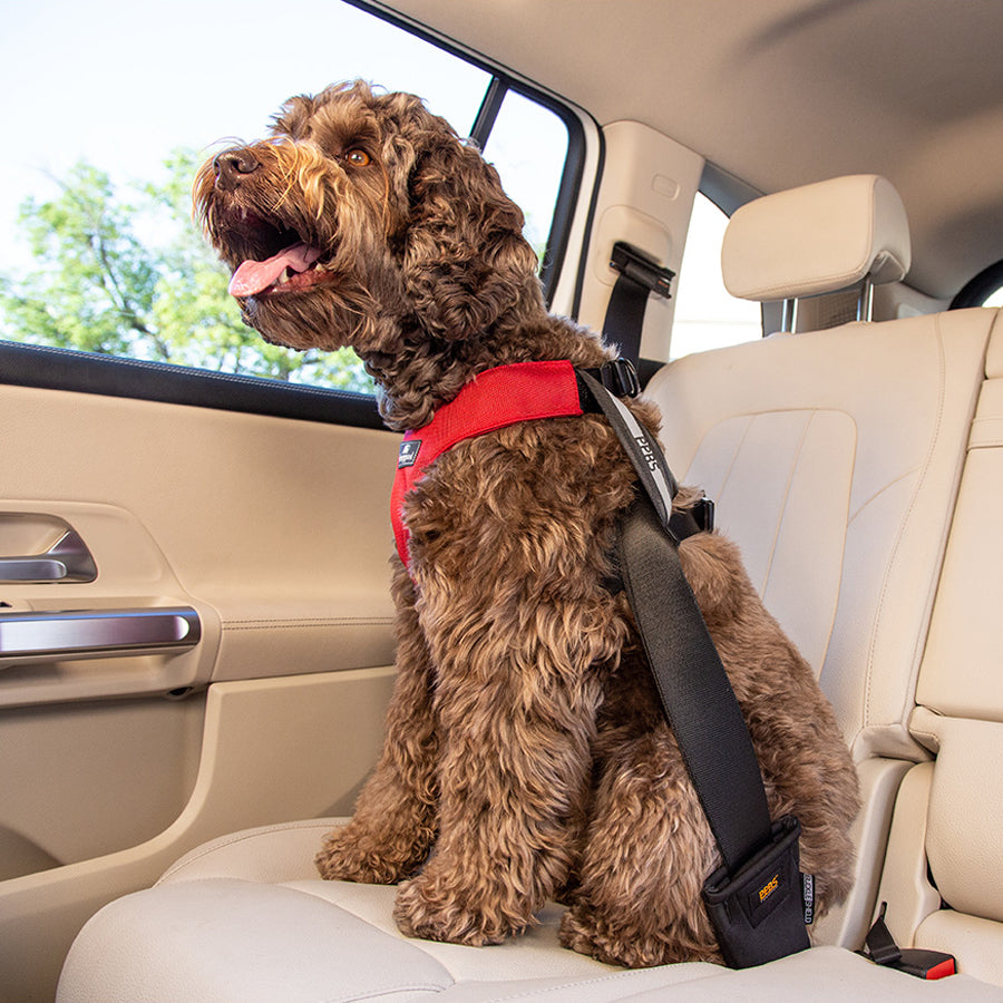 Clickit Sport Plus – Sleepypod Europe