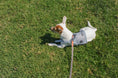 Load image into Gallery viewer, Slim Leash

