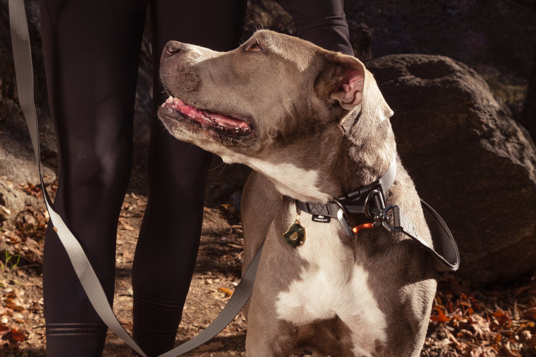 Power Collar