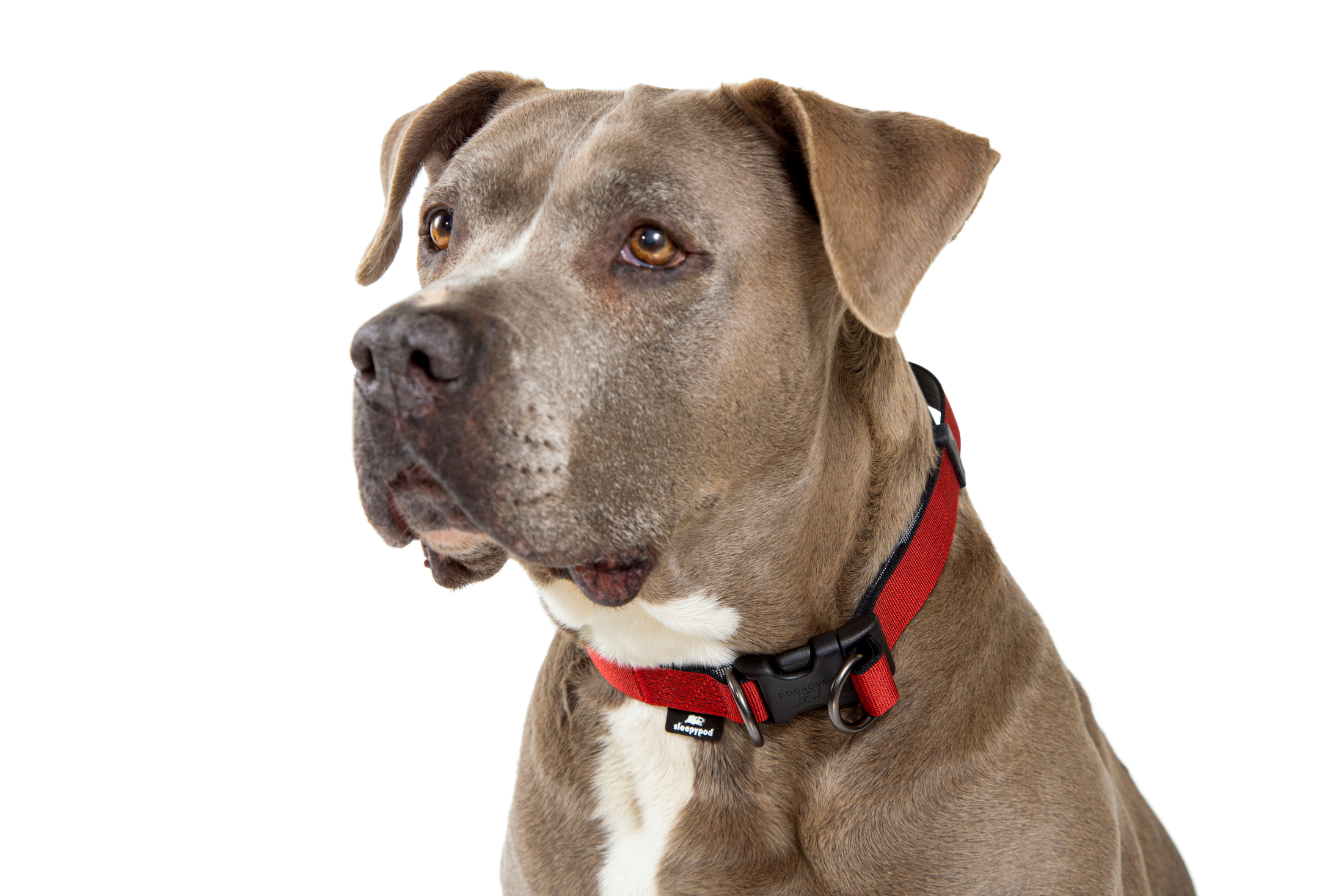 Power Collar