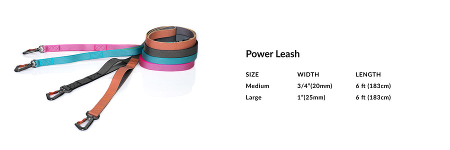 Power Leash
