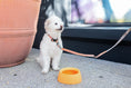 Load image into Gallery viewer, Yummy Travel Bowls

